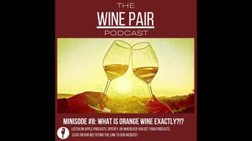 Minisode #8  What Is Orange Wine Exactly !