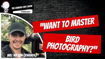 How To MASTER Bird Photography|Insights with Will WIlson