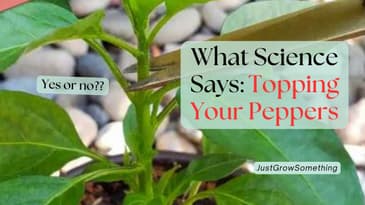 Topping Peppers: What does the science say, yay or nay? - Ep. 299