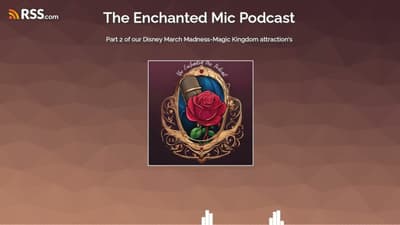 Part 2 of our Disney March Madness-Magic Kingdom attraction’s