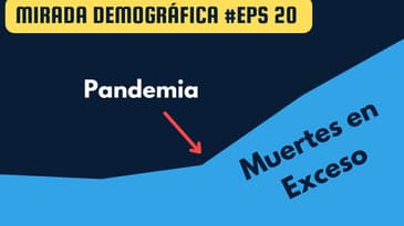 Millones de muertes en exceso de personas negras en Estados Unidos