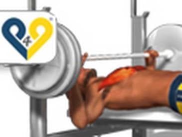 Chest Exercises: Bench Press