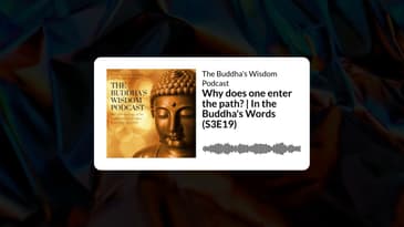 Why does one enter the path? | In the Buddha's Words (S3E19) | The Buddha’s Wisdom Podcast