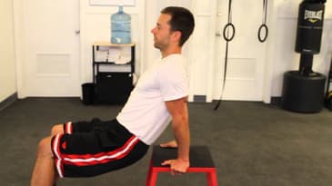 Bench Dips
