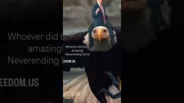 Comedy clip - Stay in the Gray Podcast - Neverending Story political satire!