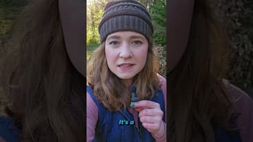 So there's this new reality show on FOX... #Extracted