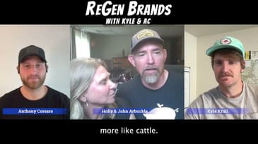 Rotationally Grazing Pigs & Using Humane Nose Rings