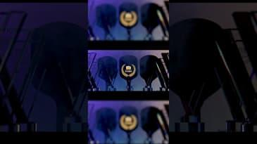 The 2025 Paddle Awards Coming Soon 👀