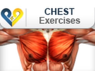 Chest Exercises: Push Up
