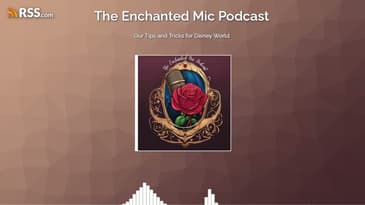 Our Tips and Tricks for Disney World