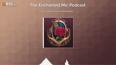 Our Tips and Tricks for Disney World