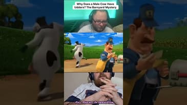 Ever wondered why male cows have udders? The truth is downright baffling!