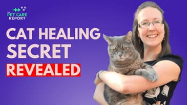 A Simple Energy Healing Technique for Cats