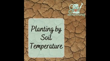 Proper Soil Temperatures for Transplanting - Ep. 193