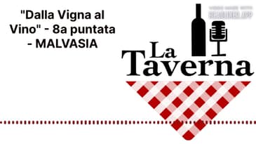 "Dalla Vigna al Vino" - 8a puntata - MALVASIA | La Taverna Friuli Wine