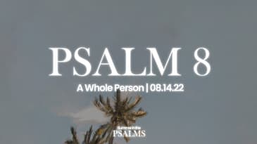 Psalm 8 - A Whole Person