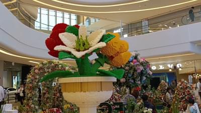 Lego Garden Botanicals, Starfield Mall In South Korea / Vlog Review No. 304