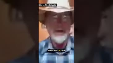 The Economics of Wild Horses: Exposing the BLM’s Grazing Program