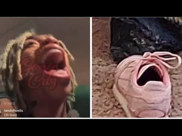 King Harris? Who Made This Meme? 😂😂😂