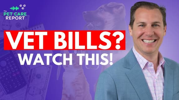 How to Pay for Vet Bills Without Stress