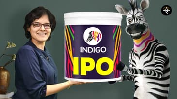 Indigo Paints IPO Review by CA Rachna Ranade