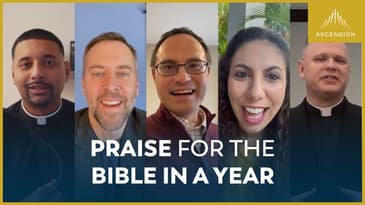 Praise for The Bible in a Year (Dr. Edward Sri, Lisa Cotter, Fr. Chris Alar, Fr. Josh Johnson)