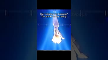 Beyoncé - Baby Boy Live at the 2003 VMA’s! #beyonce #beyoncetour #beyhive