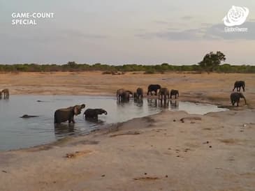 Daytime Observation - Hwange National Park - Game Count Zimbabwe with Globe Aware Oct 2025 Clip 10