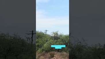Jeep ride with us through the  trees and  red rocks. Sedona is breathtaking.
