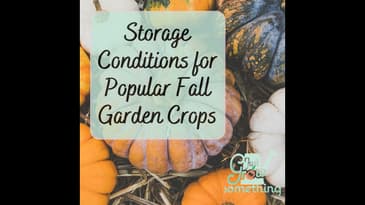 Storing the Most Popular Types of Fall Garden Crops: No Freezing, No Canning, No Dehydrating Requ...