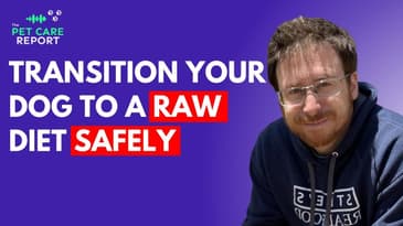 Transitioning Your Dog To A Raw Diet Safely