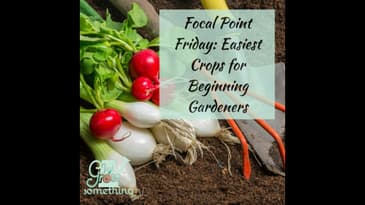 Focal Point Friday: Easiest Crops for Beginning Gardeners