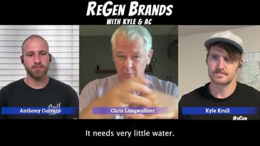 Why The Bambara Groundnut Is An Agronomic Gamechanger