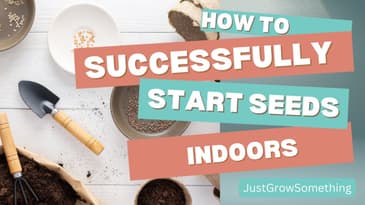 Seed Starting for Beginners - Ep. 237