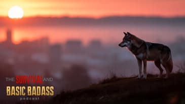 Can You Survive as a Lone Wolf Prepper?