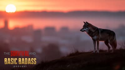 Can You Survive as a Lone Wolf Prepper?