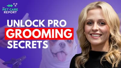 Expert Dog Care Tips: Grooming, Behavior Insights, and Nutrition Advice