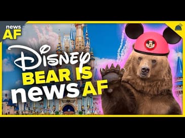 Disney Bear is News AF - September 19, 2023