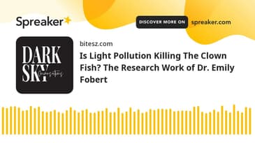 Is Light Pollution Killing The Clown Fish? The Research Work of Dr. Emily Fobert