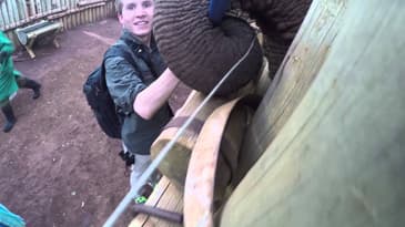 Nairobi Elephant Orphanage