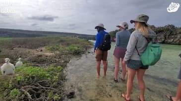 Amazing How The Wild Life Doesn't Fear Humans! Galápagos Islands with Globe Aware