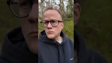 Saker man tänker på i skogen