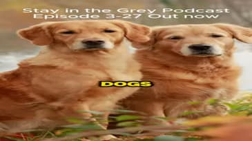 What Happens When a Dog Chews on a Battery? You Won't Believe It! 😱🔥 #shorts