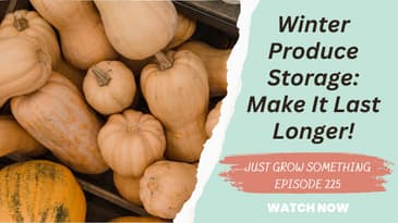 Winter Storage Options for Fall Harvested Vegetables and Fruits - Ep.225