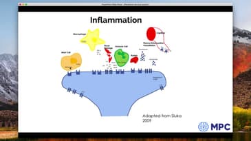 Peripheral Contributions to the Pain Experience