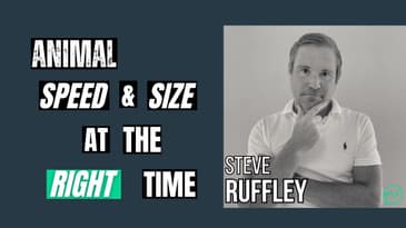 Animal Speed, Size, and Being Right at the Right Time · Steve Ruffley