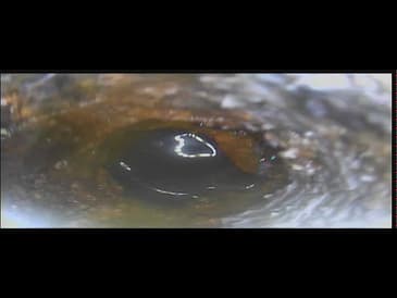 Mophorn Sewer Camera Failure around the bend