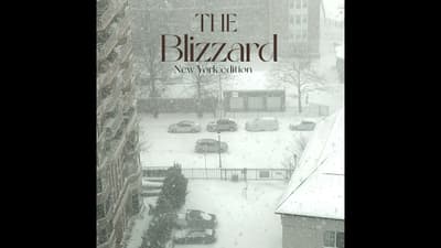 The Blizzard - New York Edition | An Environment Day Special