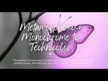 Metamorphosis: Monochrome to Technicolor