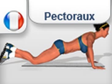 Exercice femelle - féminin | Tonification affermissement sein peau